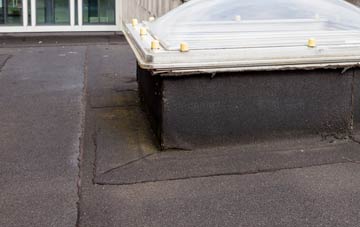disadvantages of Pont Hwfa flat roofs